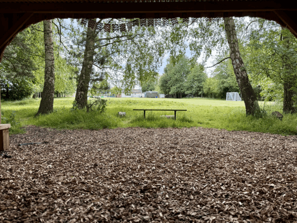The Great Outdoors